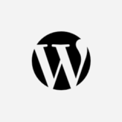 上海Wordpress网站开发设计